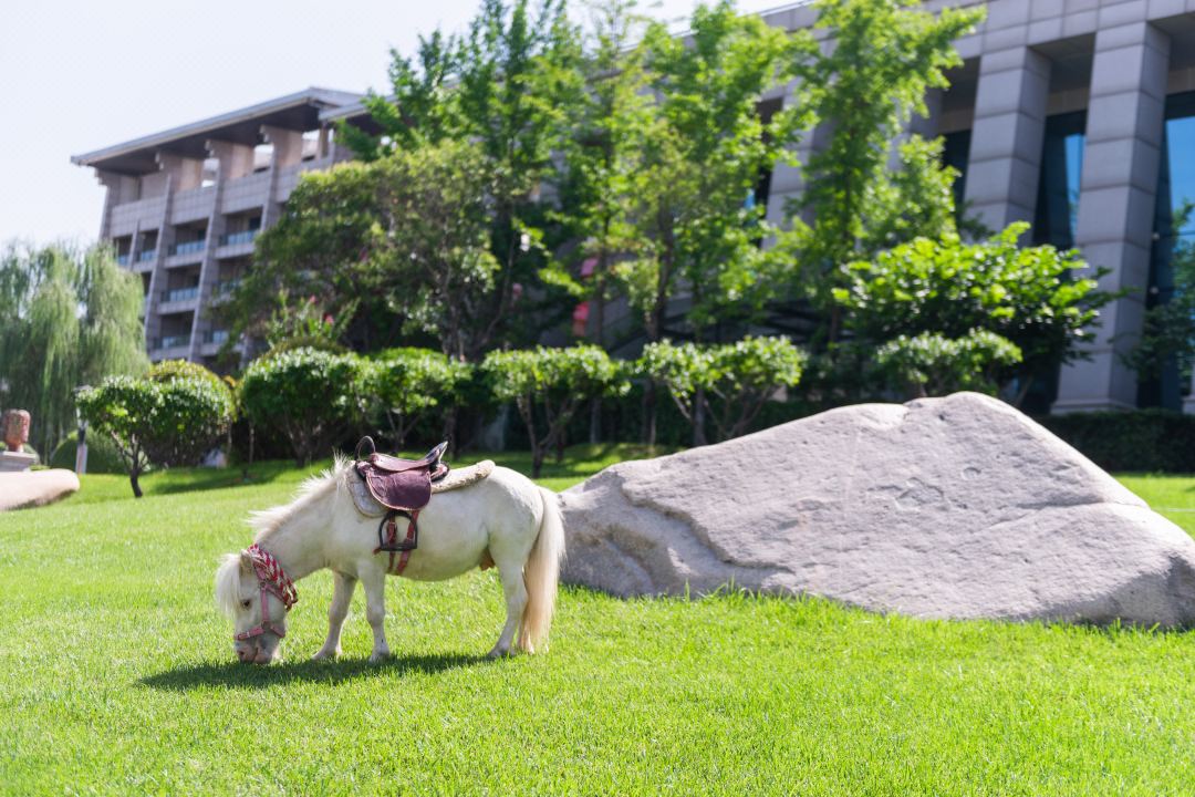 亚星署理治理网_署理平台_会员登录入口