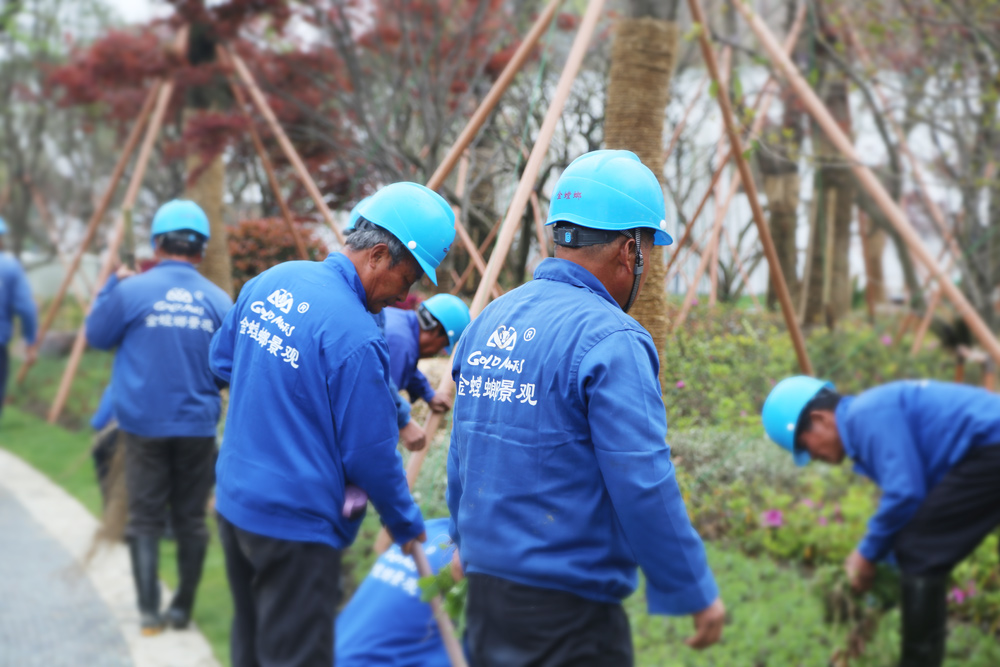 亚星署理治理网_署理平台_会员登录入口