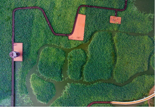 亚星署理治理网_署理平台_会员登录入口