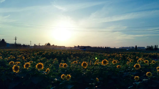 亚星署理治理网_署理平台_会员登录入口