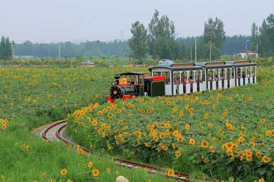 亚星署理治理网_署理平台_会员登录入口