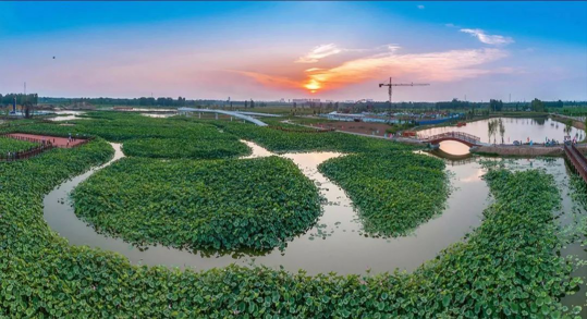 亚星署理治理网_署理平台_会员登录入口