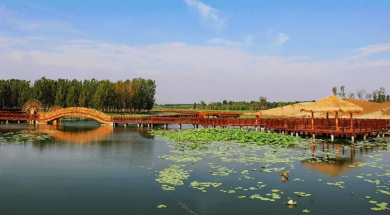 亚星署理治理网_署理平台_会员登录入口