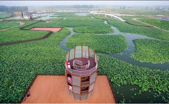 亚星署理治理网_署理平台_会员登录入口