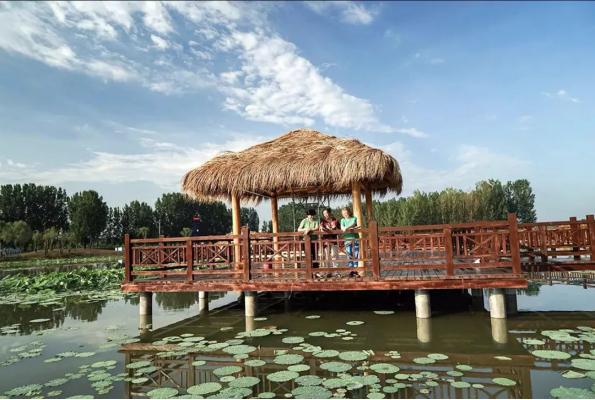 亚星署理治理网_署理平台_会员登录入口