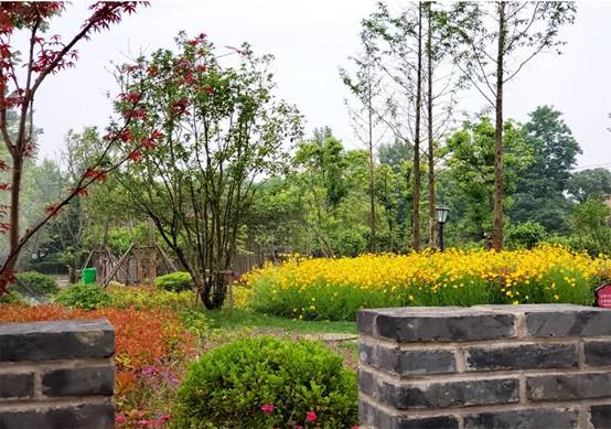 亚星署理治理网_署理平台_会员登录入口