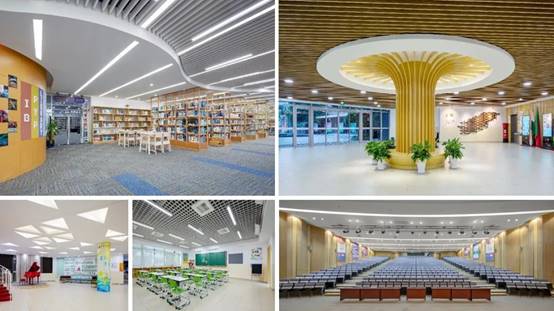 亚星署理治理网_署理平台_会员登录入口